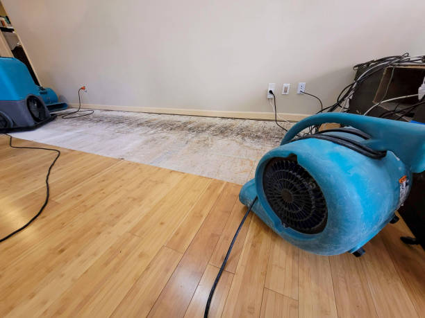 Professional Basement Flood Cleanup technician working in Dunstable, MA